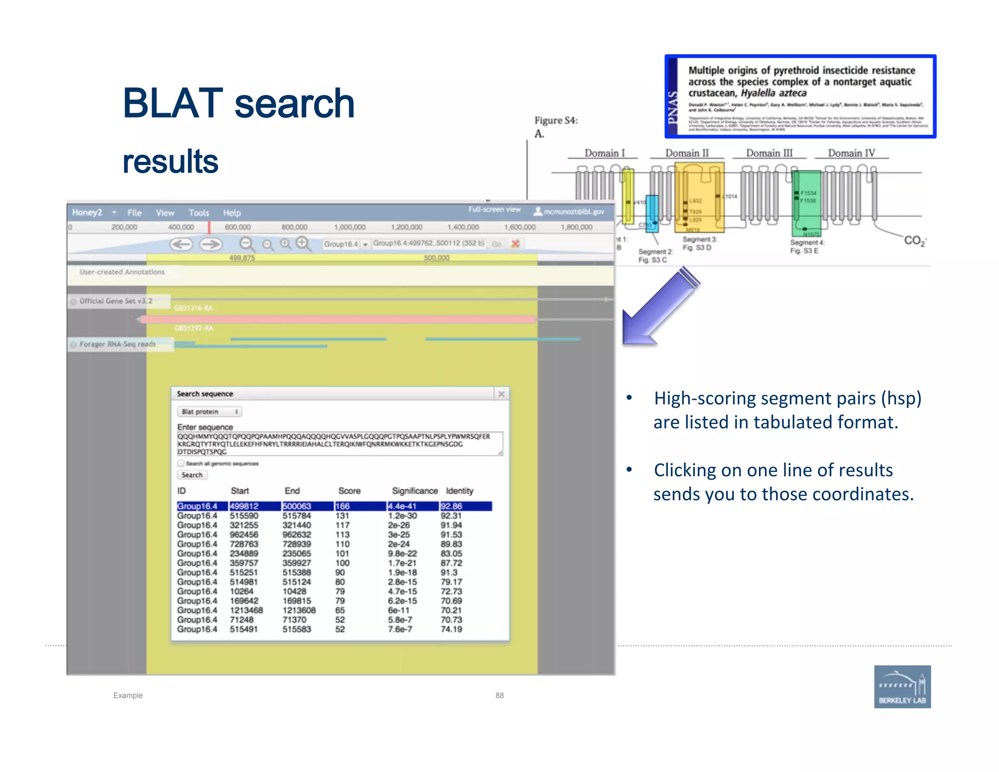 BLAT search 
 
results
Example 88
•  High-­‐scoring	
  segment	
  pairs	
  (hsp)	
  
are	
  listed	
  in	
  tabulated	
  format.	
  
•  Clicking	
  on	
  one	
  line	
  of	
  results	
  
sends	
  you	
  to	
  those	
  coordinates.	
  
 