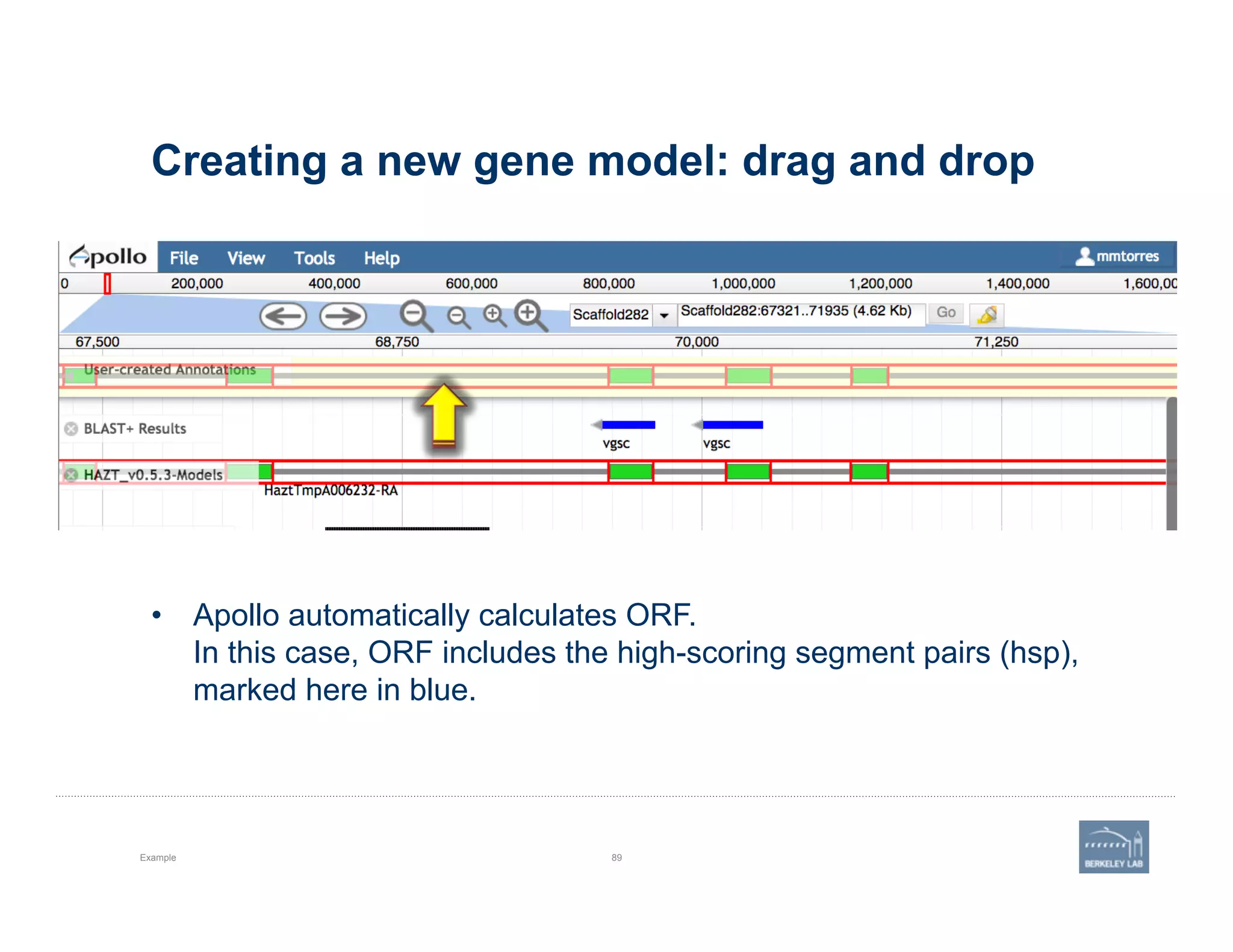 Creating a new gene model: drag and drop
Example 89
•  Apollo automatically calculates ORF.
In this case, ORF includes the high-scoring segment pairs (hsp),
marked here in blue.
 