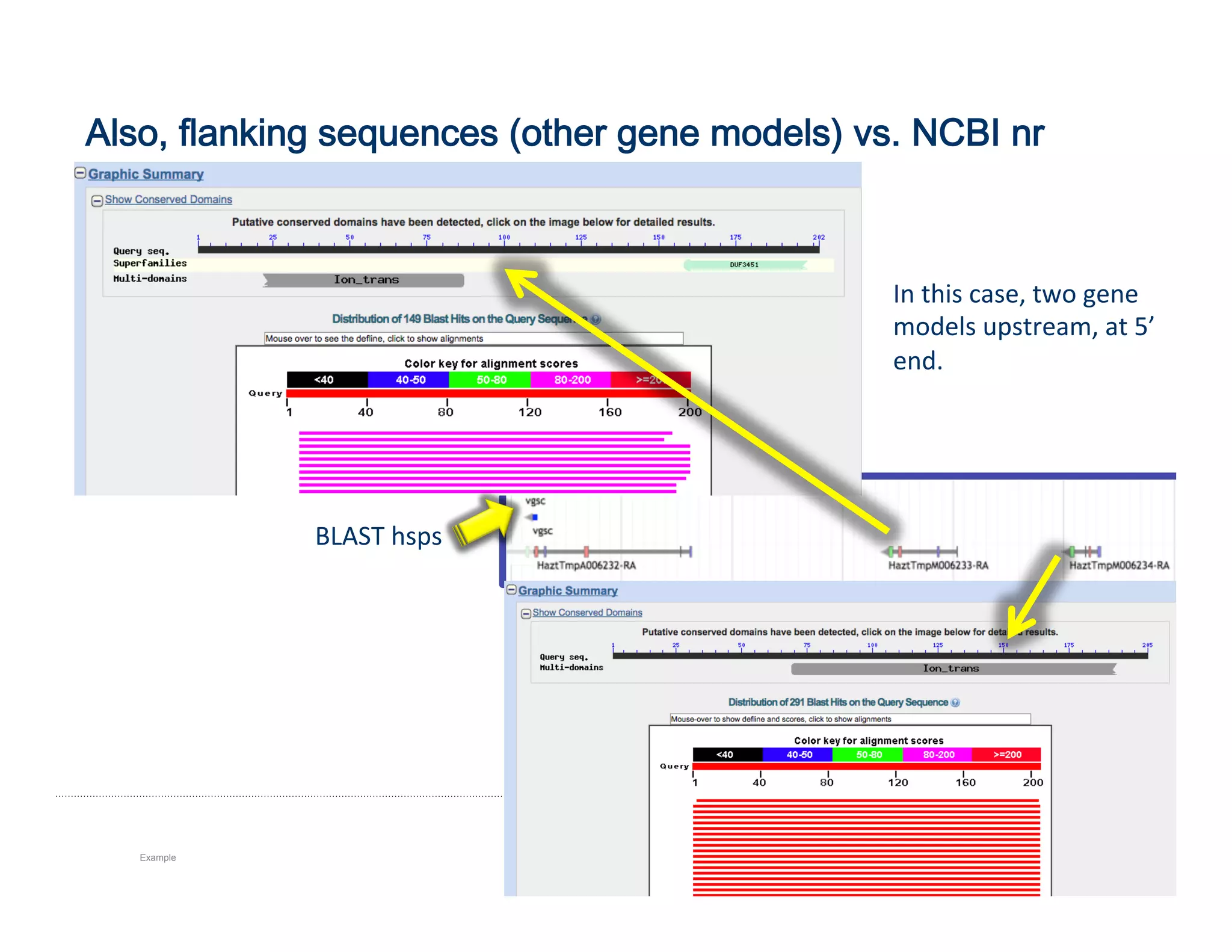 Also, flanking sequences (other gene models) vs. NCBI nr
Example 92
In	
  this	
  case,	
  two	
  gene	
  
models	
  upstream,	
  at	
  5’	
  
end.	
  
BLAST	
  hsps	
  
 