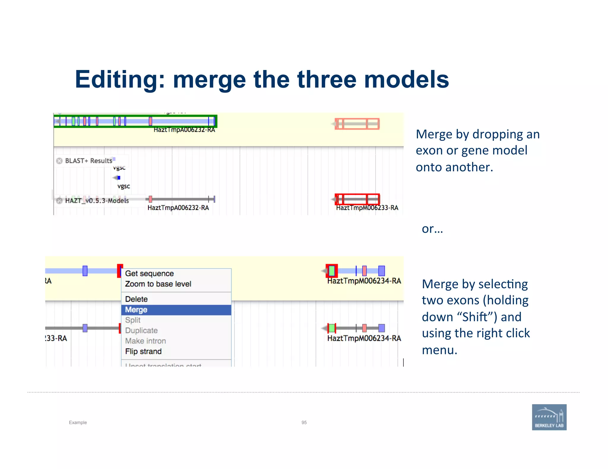 Editing: merge the three models
Example 95
Merge	
  by	
  dropping	
  an	
  
exon	
  or	
  gene	
  model	
  
onto	
  another.	
  
Merge	
  by	
  selec'ng	
  
two	
  exons	
  (holding	
  
down	
  “Shij”)	
  and	
  
using	
  the	
  right	
  click	
  
menu.	
  
or…	
  
 