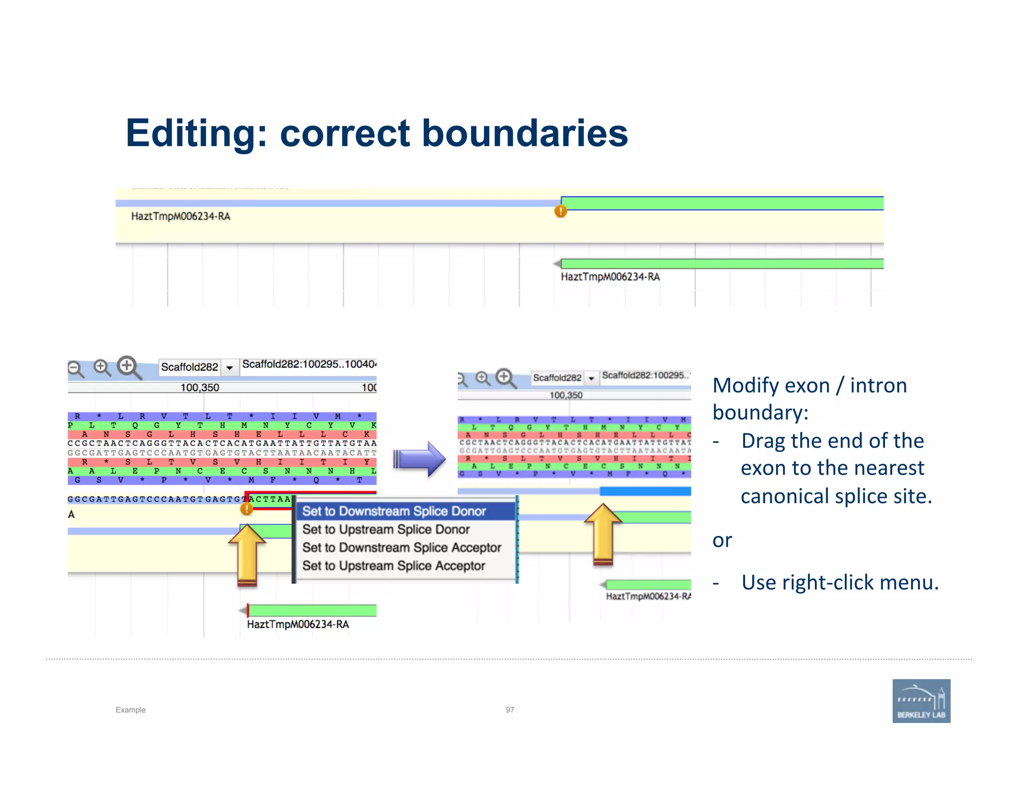 Editing: correct boundaries
Example 97
Modify	
  exon	
  /	
  intron	
  
boundary:	
  	
  
-­‐  Drag	
  the	
  end	
  of	
  the	
  
exon	
  to	
  the	
  nearest	
  
canonical	
  splice	
  site.	
  
	
  
or	
  
	
  
-­‐  Use	
  right-­‐click	
  menu.	
  
 