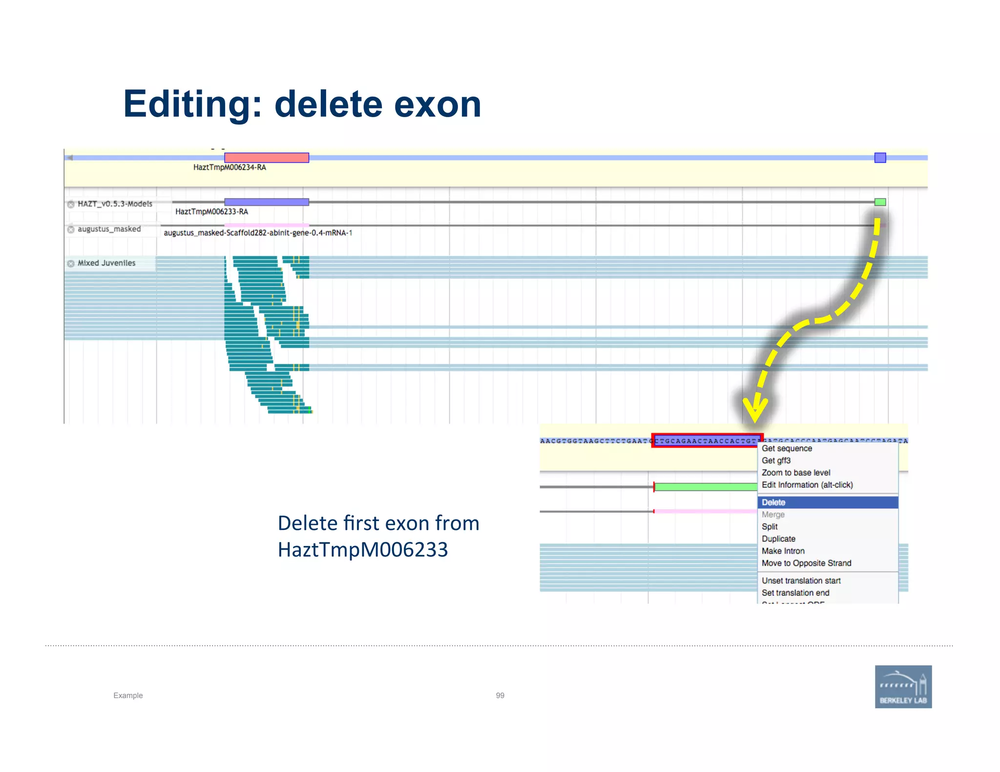 Editing: delete exon
Example 99
Delete	
  ﬁrst	
  exon	
  from	
  
HaztTmpM006233	
  
 