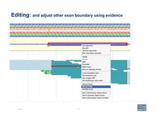Editing: and adjust other exon boundary using evidence
Example 101
 