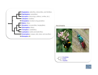 Exercises
Live	
  Demonstra'on	
  using	
  the	
  Apis	
  mellifera	
  genome.	
  
110
1.	
  Evidence	
  in	
  support	
  ...