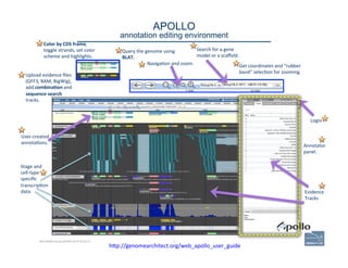 42
APOLLO 
annotation editing environment
BECOMING ACQUAINTED WITH APOLLO
Color	
  by	
  CDS	
  frame,	
  
toggle	
  stran...