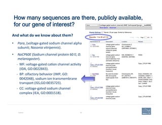 How many sequences are there, publicly available,
for our gene of interest?
Example 85
•  Para,	
  (voltage-­‐gated	
  sod...