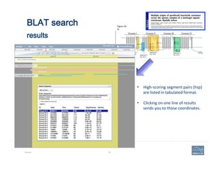 BLAT search 
 
results
Example 88
•  High-­‐scoring	
  segment	
  pairs	
  (hsp)	
  
are	
  listed	
  in	
  tabulated	
  f...