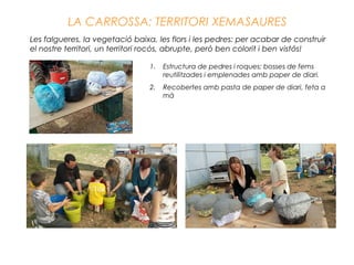 LA CARROSSA: TERRITORI XEMASAURES
Les falgueres, la vegetació baixa, les flors i les pedres: per acabar de construir
el nostre territori, un territori rocós, abrupte, però ben colorit i ben vistós!
1. Estructura de pedres i roques: bosses de fems
reutilitzades i emplenades amb paper de diari.
2. Recobertes amb pasta de paper de diari, feta a
mà
 