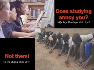 Việc học làm bạn khó chịu?
Họ thì không phải vậy!
 