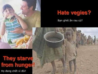 Bạn ghét ăn rau củ?
Họ đang chết vì đói!
 
