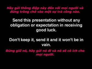 Hãy gửi thông điệp này đến với mọi người và
đừng trông chờ vào một sự trả công nào.
Đừng giữ nó, hãy gửi nó đi và nó sẽ có ích cho
mọi người.
 