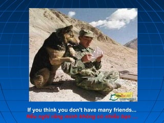 If you think you don't have many friends...
Nếu nghĩ rằng mình không có nhiều bạn …
 