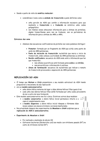 3


• Desde o punto de vista da xenética molecular:

       • considérase ó xene como a unidade de transcrición e pode definirse como:

              • unha porción de ADN que contén a información necesaria para que
                mediante a transcrición e a tradución se sintetice unha cadea
                polipeptídica
              • non tódolos xenes almacenan información para a síntese de proteínas,
                algúns transcríbense pero non se traducen, son os portadores da
                información para a síntese de ARNt e ARNr.

Estrutura dun xene

       • Ademais das secuencias codificadoras da proteína nun xene podemos distinguir:

              • Promotor: formado por un fragmento de ADN que actúa como punto de
                unión da ARN-polimerasa
              • Punto de iniciación da transcrición: nucleótido que marca o inicio da
                transcrición, onde comeza a actividade da ARN-polimerasa ou sintetasa
              • Rexión codificadora: secuencia do ADN onde está a información que hai
                que transcribir,
                     • nas células eucarióticas está formada polos exóns e os intróns.
                     • nas procarióticas a información é continua.
              • Sinais de terminación: secuencia de nucleótidos que indican o remate
                da transcrición provocando a separación da ARN-polimerasa



REPLICACIÓN DO ADN

• Ó tempo que Watson e Crick presentaron o seu modelo estrutural do ADN tamén
  propuxeron o mecanismo da súa replicación
• era un modelo semiconservativo:
       • unha dobre hélice materna da lugar a dúas dobres hélices fillas iguais á nai
       • cada unha das dobres hélices fillas están formadas por unha cadea procedente
          da nai e outra de nova formación
• Este modelo semiconservativo non foi o único. Existiron outros dous modelos:
       • o modelo conservativo: a dobre hélice inicial permanece intacta e a
          copia é completamente nova
       • o modelo dispersivo: a dobre hélice inicial rómpese e fórmanse dúas
          novas cadeas cos anacos orixinais e os novos mesturados.
• Na actualidade despois dos experimentos de Meselson e Stahl acéptase que a
  replicación do ADN é semiconservativa.

• Experimento de Meselson e Stahl:

       • Foi realizado a mediados do século XX
       • Cultivaron bacterias (Escherichia coli) nun medio con nitróxeno pesado (N15) no
         canto de nitróxeno normal (N14)
 
