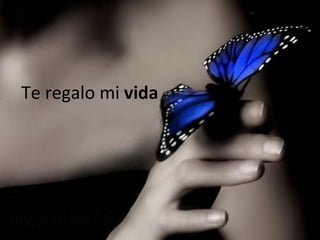 Te regalo mi  vida 
