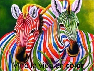 Miro la vida en  color 