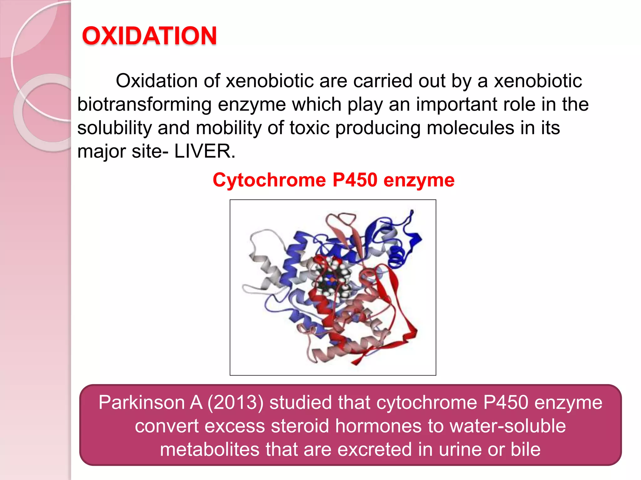 OXIDATION
Oxidation of xenobiotic are carried out by a xenobiotic
biotransforming enzyme which play an important role in the
solubility and mobility of toxic producing molecules in its
major site- LIVER.
Cytochrome P450 enzyme
Parkinson A (2013) studied that cytochrome P450 enzyme
convert excess steroid hormones to water-soluble
metabolites that are excreted in urine or bile
 