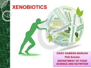 DAISY KAMENG BARUAH
PhD Scholar
DEPARTMENT OF FOOD
SCIENCE AND NUTRITION
XENOBIOTICS
 