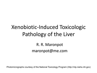 Xenobiotic-Induced Toxicologic
Pathology of the Liver
R. R. Maronpot
maronpot@me.com
Photomicrographs courtesy of the National Toxicology Program (http://ntp.niehs.nih.gov)
 