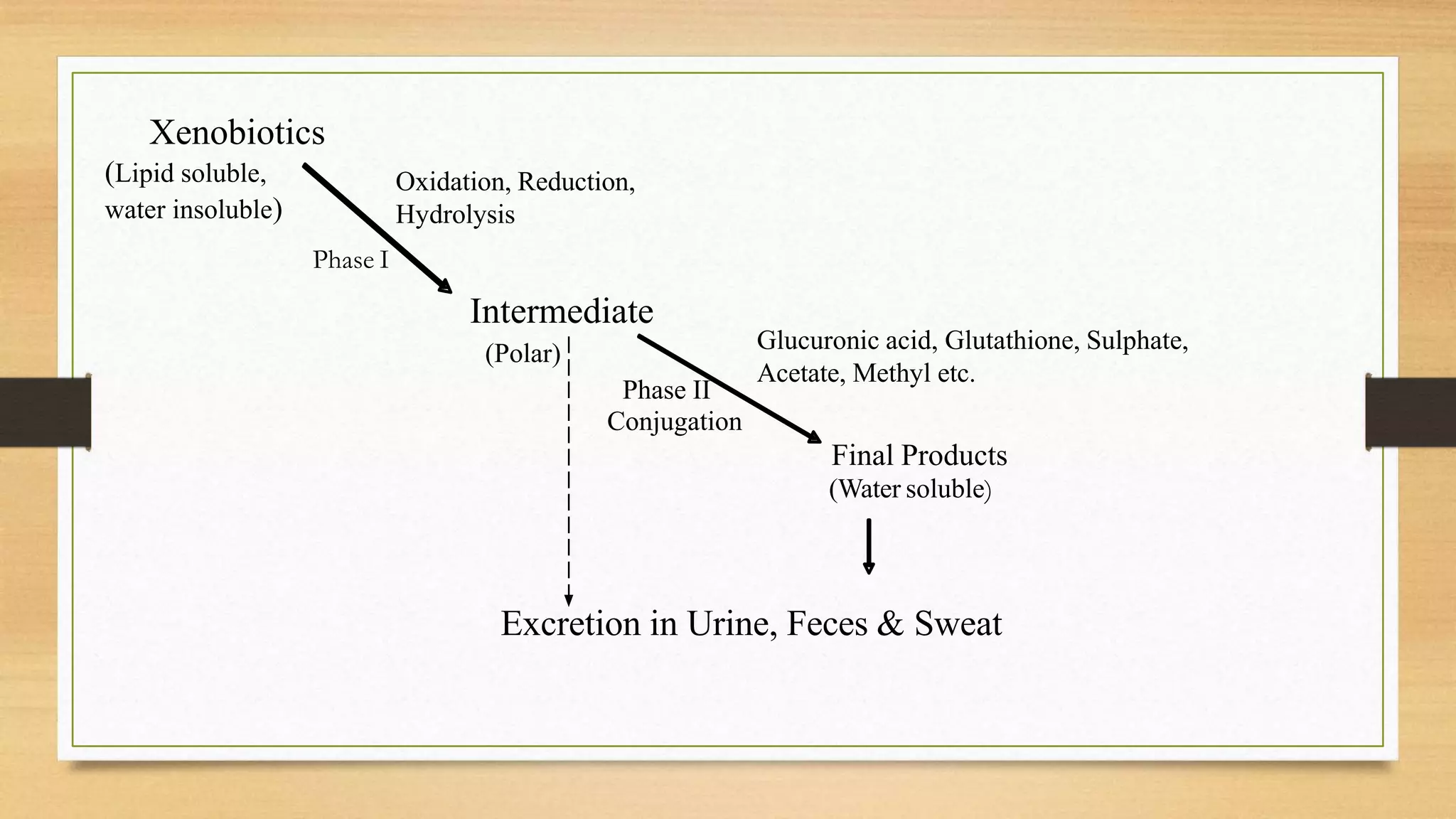 glutathione xenobiotic metabolism Xenobiotic metabolism