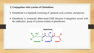 glutathione xenobiotic metabolism Glutathione IV Drip Near Me Portland Oregon main image 0