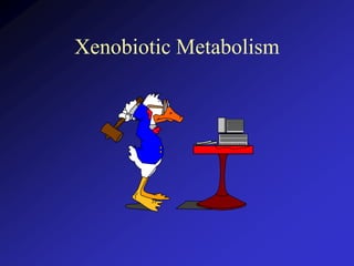 Xenobiotic Metabolism
 