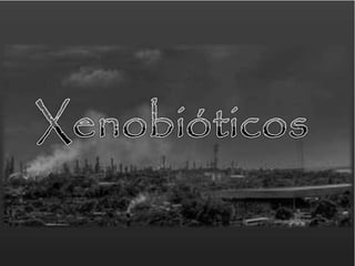 Xenobioticos