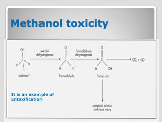 Methanol toxicity




It is an example of
Entoxification
 