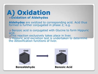 A) Oxidation
Oxidation   of Aldehydes
Aldehydes are oxidized to corresponding acid. Acid thus
formed is further conjugated in phase 2; e.g.
 Benzoic acid is conjugated with Glycine to form Hippuric
acid.
This reaction exclusively takes place in liver.
 Hippuric acid excretion test is undertaken to determine
the detoxification functions of liver.




    Benzaldehyde                 Benzoic Acid
 