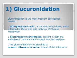 1) Glucuronidation
Glucuronidation is the most frequent conjugation
reaction.

  UDP-glucuronic acid , is the Glucuronyl donor, which
is formed in the uronic acid pathway of Glucose
metabolism

 Glucuronosyl transferases, present in both the
endoplasmic reticulum and cytosol, are the catalysts.

Theglucuronide may be attached to
oxygen, nitrogen, or sulfur groups of the substrates.
 