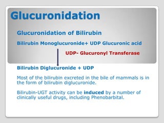 Glucuronidation
 Glucuronidation of Bilirubin
 Bilirubin Monoglucuronide+ UDP Glucuronic acid

                      UDP- Glucuronyl Transferase


 Bilirubin Diglucuronide + UDP

 Most of the bilirubin excreted in the bile of mammals is in
 the form of bilirubin diglucuronide.

 Bilirubin-UGT activity can be induced by a number of
 clinically useful drugs, including Phenobarbital.
 