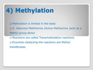 4) Methylation

    Methylation is limited in the body
    S- Adenosyl Methionine (Active Methionine )acts as a
 Methyl group donor
    Reactions are called Transmethylation reactions
    Enzymes catalyzing the reactions are Methyl
 transferases
 