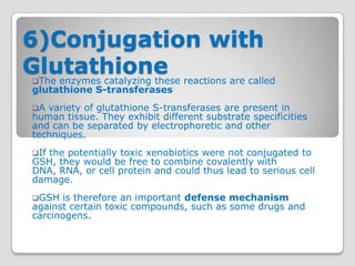 6)Conjugation with
Glutathione reactions are called
 The enzymes catalyzing these
 
 glutathione S-transferases
 A variety of glutathione S-transferases are present in
 human tissue. They exhibit different substrate specificities
 and can be separated by electrophoretic and other
 techniques.
 Ifthe potentially toxic xenobiotics were not conjugated to
 GSH, they would be free to combine covalently with
 DNA, RNA, or cell protein and could thus lead to serious cell
 damage.
 GSH  is therefore an important defense mechanism
 against certain toxic compounds, such as some drugs and
 carcinogens.
 
