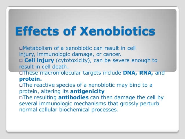 xenobiotics 52 638 jpg cb 1353670834 xenobiotics