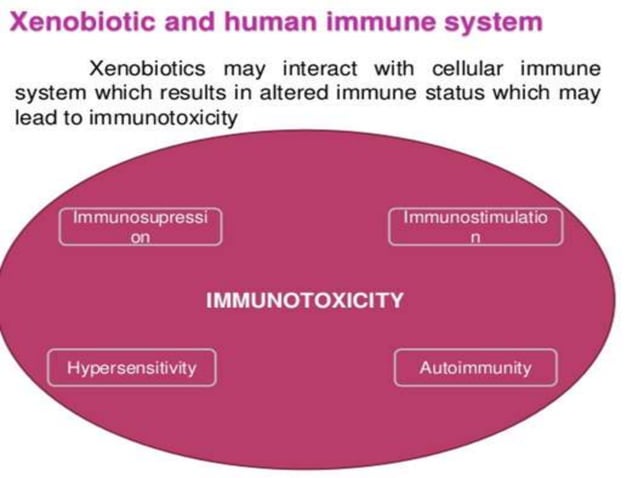 Xenobiotics | PPTX | Chemistry | Science