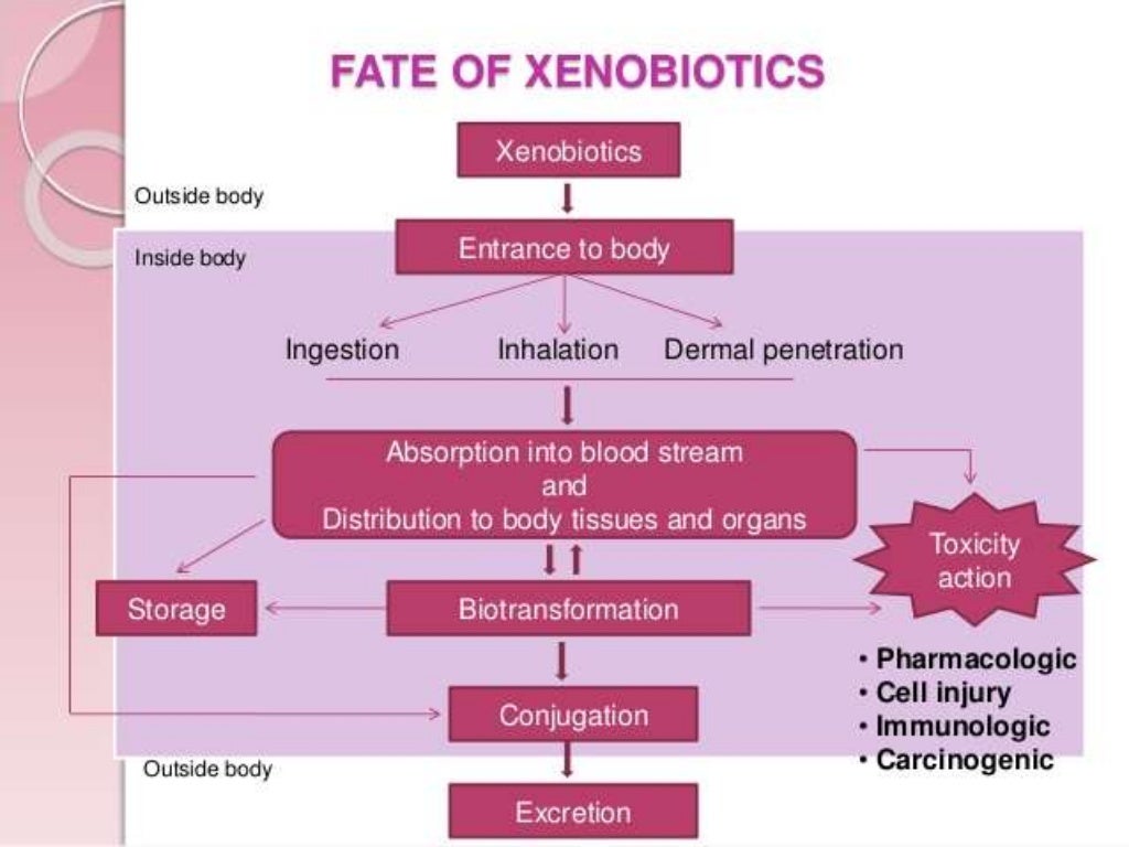 Xenobiotics