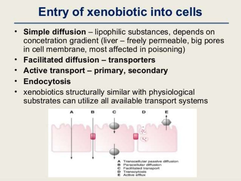 Xenobiotics