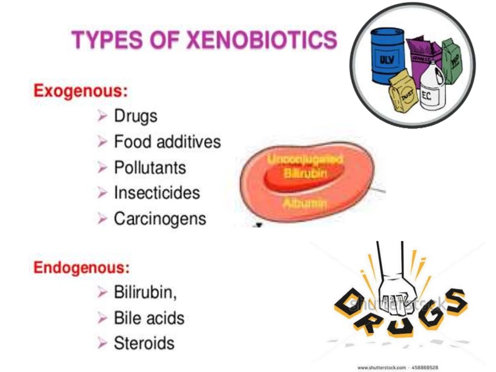 Xenobiotics