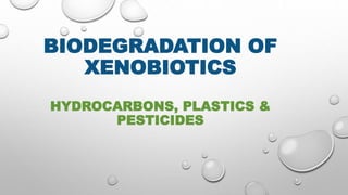 BIODEGRADATION OF
XENOBIOTICS
HYDROCARBONS, PLASTICS &
PESTICIDES
 