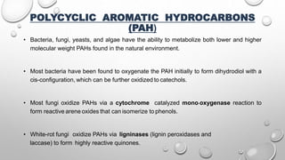 POLYCYCLIC AROMATIC HYDROCARBONS
(PAH)
• Bacteria, fungi, yeasts, and algae have the ability to metabolize both lower and higher
molecular weight PAHs found in the natural environment.
• Most bacteria have been found to oxygenate the PAH initially to form dihydrodiol with a
cis-configuration, which can be further oxidized to catechols.
• Most fungi oxidize PAHs via a cytochrome catalyzed mono-oxygenase reaction to
form reactive arene oxides that can isomerize to phenols.
• White-rot fungi oxidize PAHs via ligninases (lignin peroxidases and
laccase) to form highly reactive quinones.
 
