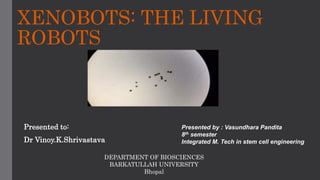 XENOBOTS: THE LIVING
ROBOTS
Presented to:
Dr Vinoy.K.Shrivastava
Presented by : Vasundhara Pandita
8th semester
Integrated M. Tech in stem cell engineering
DEPARTMENT OF BIOSCIENCES
BARKATULLAH UNIVERSITY
Bhopal
 