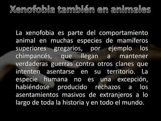 • La xenofobia es parte del comportamiento
  animal en muchas especies de mamíferos
  superiores gregarios, por ejemplo los
  chimpancés, que llegan a mantener
  verdaderas guerras contra otros clanes que
  intenten asentarse en su territorio. La
  especie humana no es una excepción,
  habiéndose producido rechazos a los
  asentamientos masivos de extranjeros a lo
  largo de toda la historia y en todo el mundo.
 