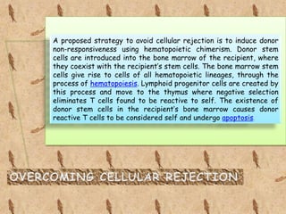 A proposed strategy to avoid cellular rejection is to induce donor
non-responsiveness using hematopoietic chimerism. Donor stem
cells are introduced into the bone marrow of the recipient, where
they coexist with the recipient’s stem cells. The bone marrow stem
cells give rise to cells of all hematopoietic lineages, through the
process of hematopoiesis. Lymphoid progenitor cells are created by
this process and move to the thymus where negative selection
eliminates T cells found to be reactive to self. The existence of
donor stem cells in the recipient’s bone marrow causes donor
reactive T cells to be considered self and undergo apoptosis.
 