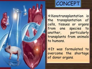 CONCEPT

Xenotransplantation is
the transplantation of
cells, tissues or organs
from one species to
another,      particularly
transplants from animals
to humans.

It was formulated to
overcome the shortage
of donor organs.
 