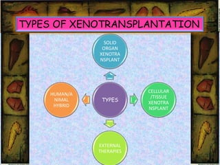 TYPES OF XENOTRANSPLANTATION
               SOLID
               ORGAN
              XENOTRA
              NSPLANT




                          CELLULAR
    HUMAN/A
                           /TISSUE
     NIMAL     TYPES      XENOTRA
     HYBRID
                          NSPLANT




              EXTERNAL
              THERAPIES
 