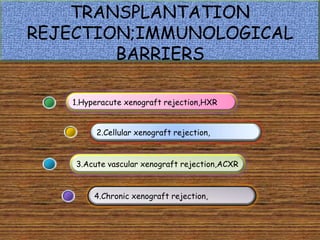 TRANSPLANTATION
REJECTION;IMMUNOLOGICAL
        BARRIERS

   1.Hyperacute xenograft rejection,HXR


         2.Cellular xenograft rejection,


    3.Acute vascular xenograft rejection,ACXR



        4.Chronic xenograft rejection,
 