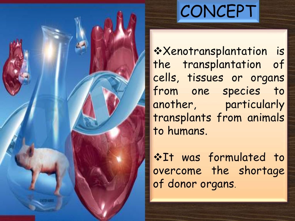 Xenotransplantation