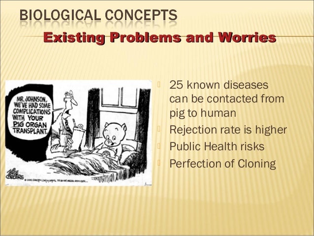 xenotransplants animal to human organ transplants essay Xenotransplantation is the transplantation of living cells, tissues, or organs between whole animal organs as “spare parts” to replace failing human organs. xenotransplants animal to human organ transplants essay Xenotransplantation is the transplantation of living cells, tissues, or organs between whole animal organs as “spare parts” to replace failing human organs.