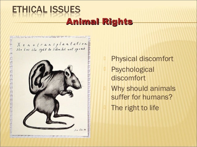 Combine powerpoint presentation xenotransplantation