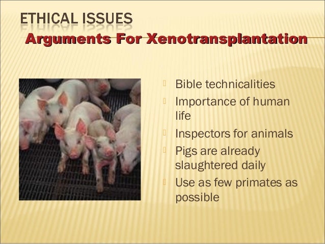 Combine powerpoint presentation xenotransplantation