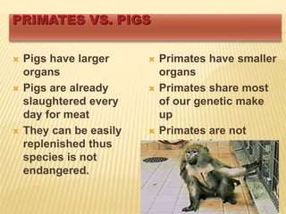 PRIMATES VS. PIGS
 Pigs have larger
organs
 Pigs are already
slaughtered every
day for meat
 They can be easily
replenished thus
species is not
endangered.
 Primates have smaller
organs
 Primates share most
of our genetic make
up
 Primates are not
available in mass
 